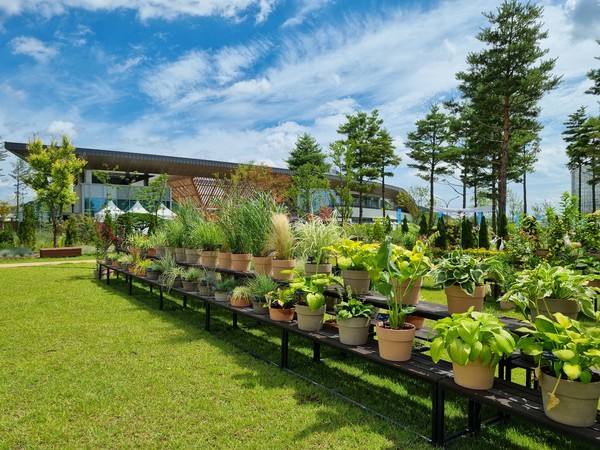 국립세종수목원에서 진행된 상반기 정원식물 전시회 모습